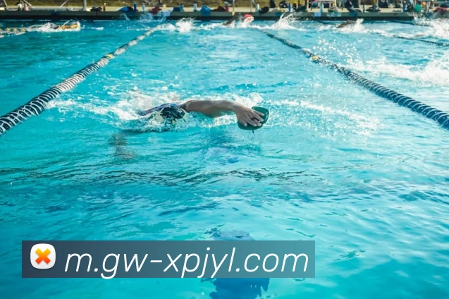 澳门新葡京娱乐平台生态图